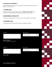 Fractional CMO Contract Template - Página 2
