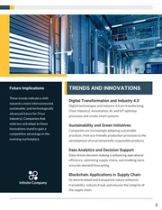 Industry Analysis Report - Page 3