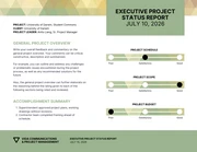 Executive Project Status Report Template - Page 1