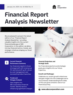 premium  Template: Financial Report Analysis Newsletter