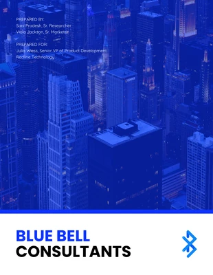 business  Template: اقتراح Blue Social Media Consulting