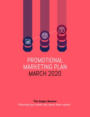 Promotional Marketing Plan