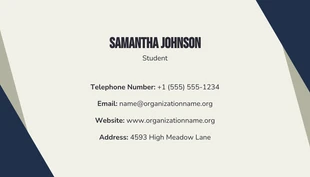 Beige And Navy Modern Geometric Student Business Card - Pagina 2
