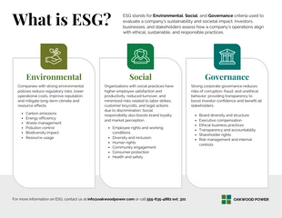 premium  Template: Modèle d'infographie informative ESG