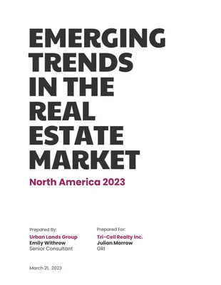 premium  Template: Neon Real Estate Market Industry Report