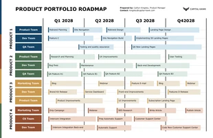 business  Template: Business Portfolio Roadmap