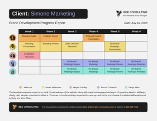 Colorful Client Progress Report