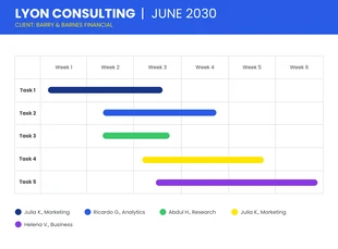 business  Template: Consultant Project Gantt Chart