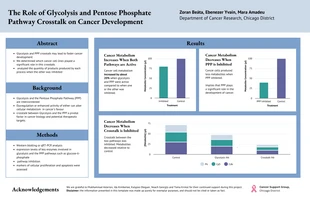 Free  Template: Poster zum Pentosephosphatweg in der Krebsforschung