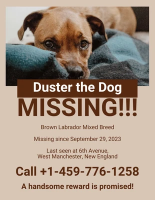 Free  Template: Monochromes Poster für einen vermissten Hund