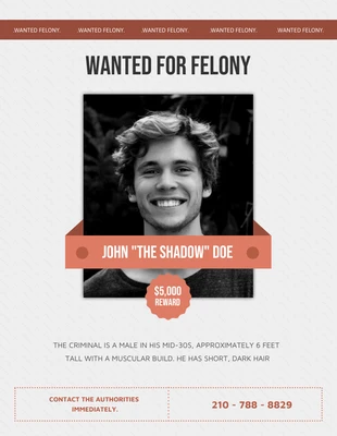 Free  Template: Orange-schwarzes "Wanted For Felony"-Poster
