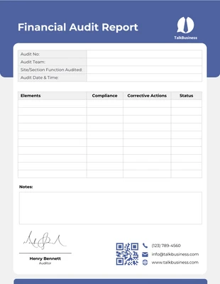 premium interactive Template: Financial Audit Report Template