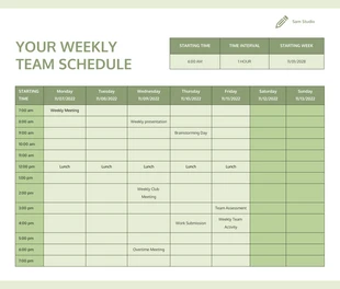 Daily Work Schedule Template