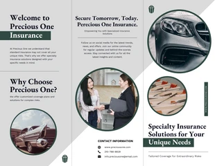 Free  Template: Specialty Insurance Products Brochure