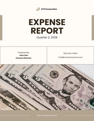 Free  Template: براون تقرير النفقات البسيطة