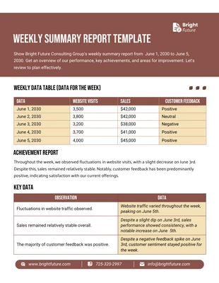 Free  Template: Weekly Summary Report Template