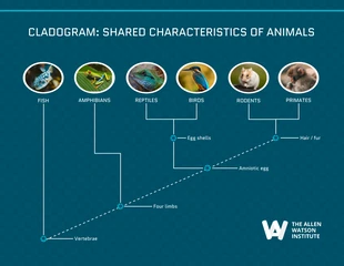 business  Template: Editable Cladogram Examples