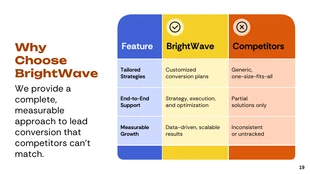 Lead Conversion Strategies Corporate Presentation - Página 19