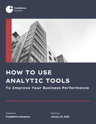 Free  Template: Improving Business Performance: Analytic Tools Report