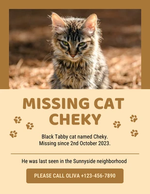Free  Template: Brauner Flyer für vermisste Katzen