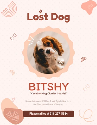 Free  Template: Pôster do cachorro perdido brincalhão Peach