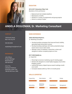 Modern Marketing Consultant Resume