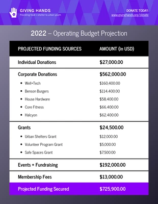 business  Template: Dark Nonprofit Budget Annual Report