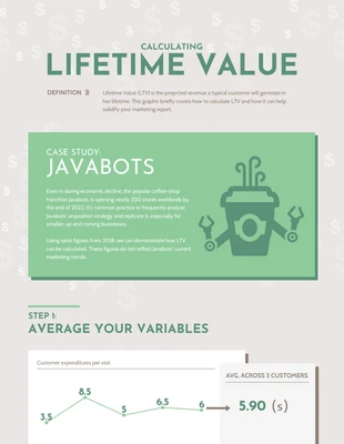 premium  Template: Lifetime Value Case Study Infographic Template