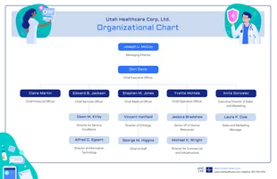 premium  Template: Corporate Healthcare Organizational Chart