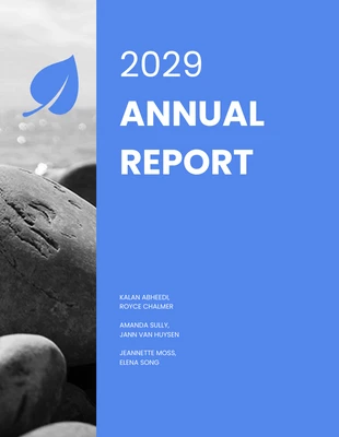 Free  Template: Non Profit Annual Report