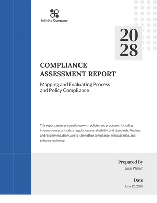 Free  Template: Compliance Assessment Report