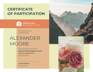 business  Template: Contemporary Certificate of Participation