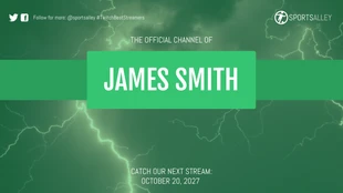 premium  Template: Green Electronic Twitch Banner