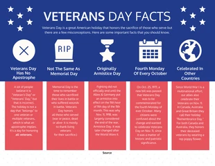 Free  Template: Veterans Day Facts Infographic Template