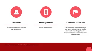 Red Wine Investor Pitch Deck Template - Pagina 3