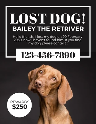 Free  Template: Folheto simples preto sobre cães perdidos