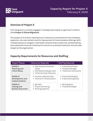 Free  Template: Modèle de rapport de capacité