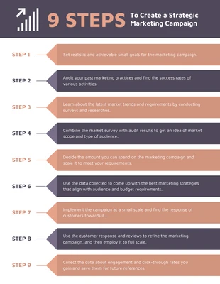 business  Template: Infografía sobre el proceso de 9 pasos de una campaña de marketing