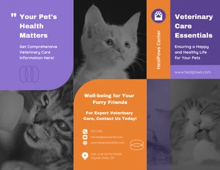 Free  Template: Veterinary Care Information Brochure