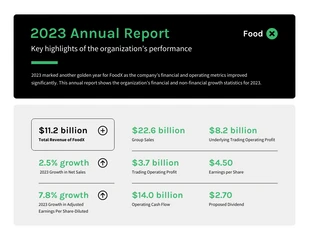 premium  Template: Simple Corporate Annual Report