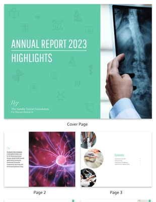 business  Template: Resumen del informe anual de investigación médica sin ánimo de lucro