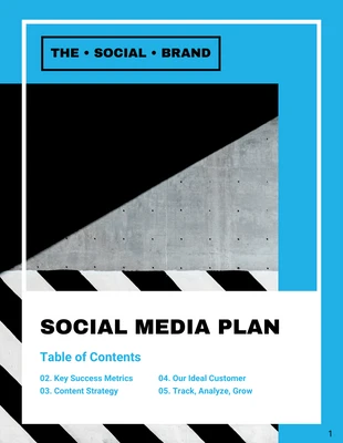 business  Template: Blue Social Media Marketing Plan
