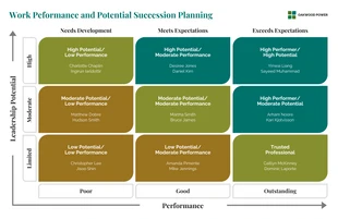premium  Template: Work Peformance and Potential Succession Planning