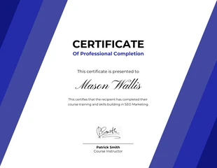 premium  Template: White And Blue Minimalist Professional Certificate