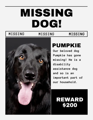 Free  Template: Folheto minimalista em preto e branco sobre cães desaparecidos