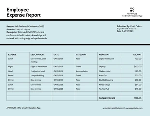 business  Template: Modelo de relatório de despesas de funcionários