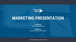 business  Template: Blue Marketing Presentation