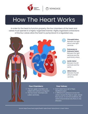 Free  Template: Infografica del cuore