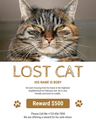 White And Brown Lost Cat Flyer