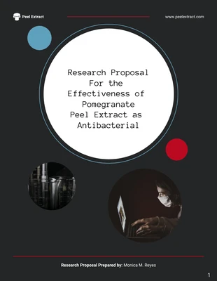 Free  Template: Research Proposal Template